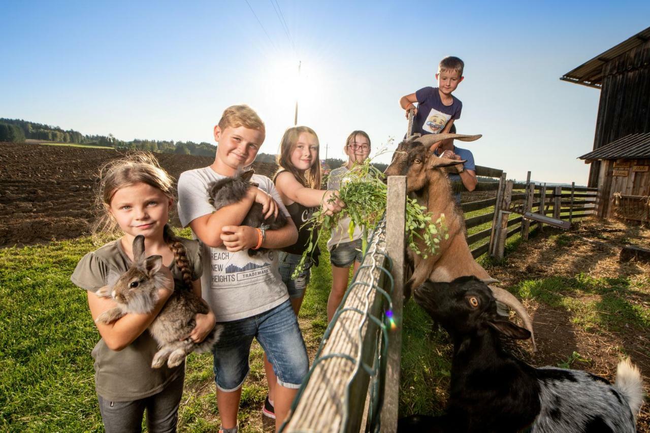 Kindererlebnis- Und Biobauernhof Hipp-Bruckner Wornharts Bagian luar foto
