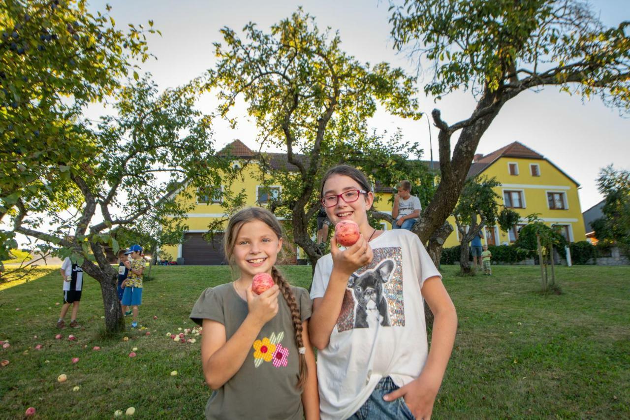 Kindererlebnis- Und Biobauernhof Hipp-Bruckner Wornharts Bagian luar foto